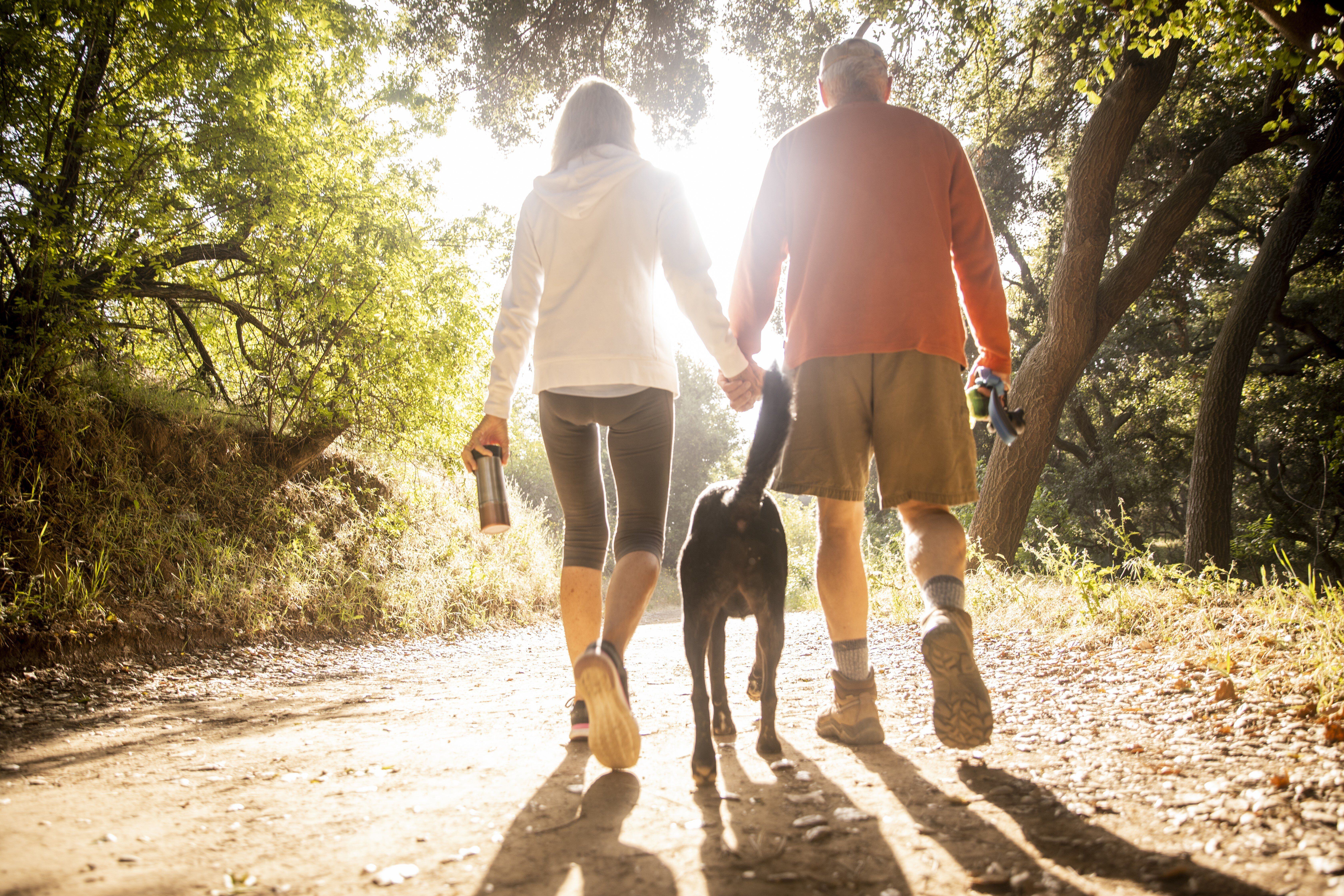 EYA_FD_Active Senior Couple Hiking with Dog RGB.tif