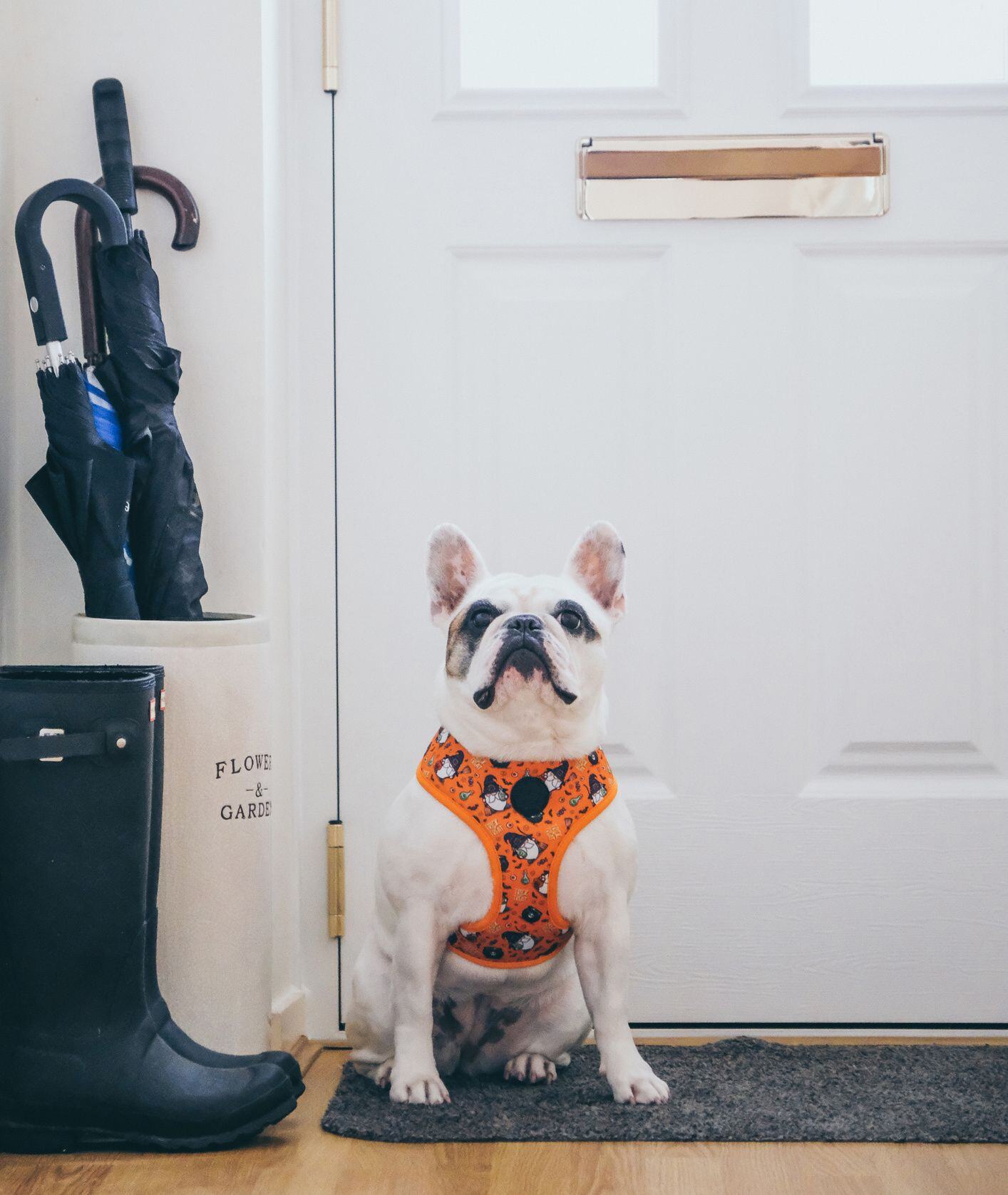 Entryway storage and organization