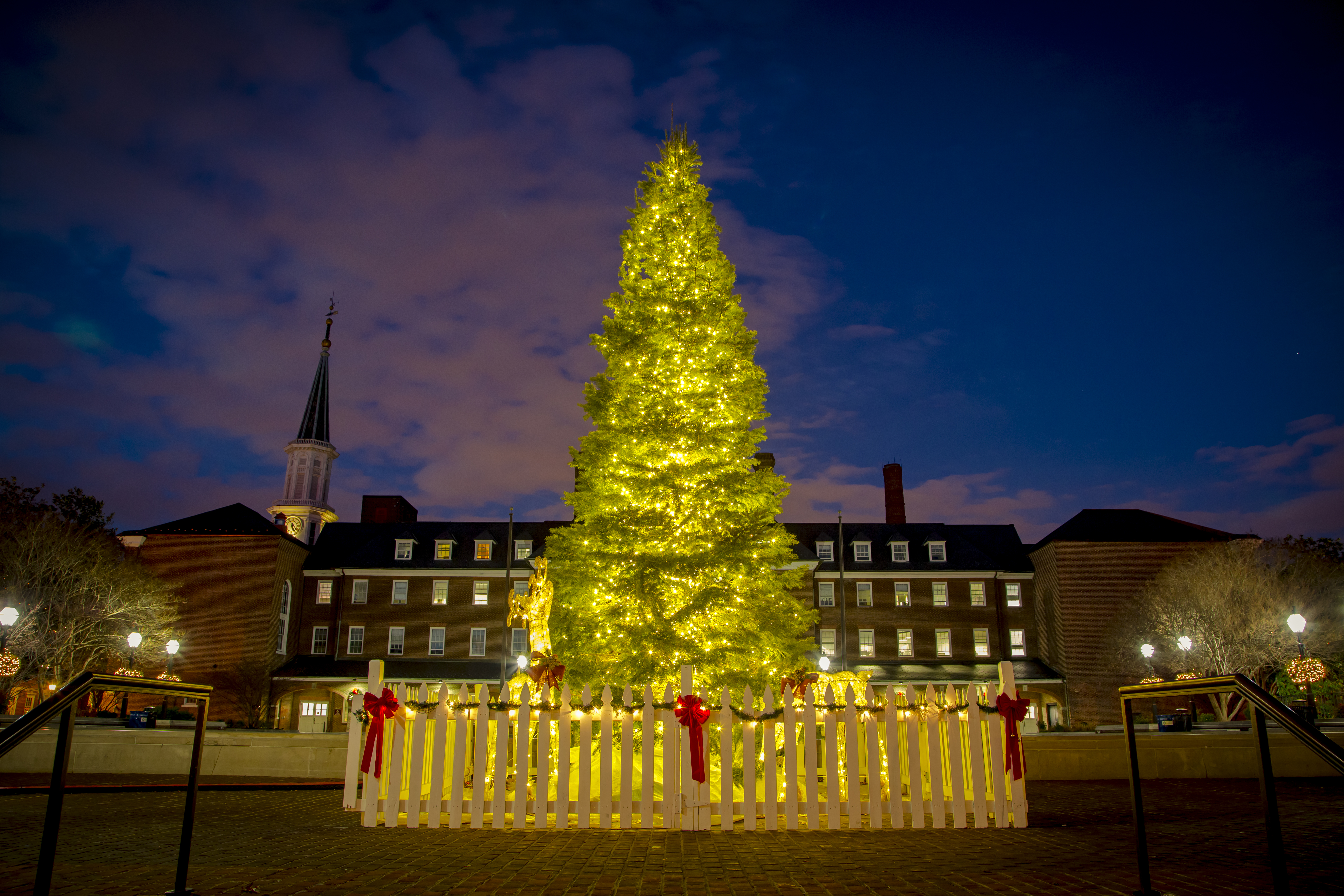 25 Ways to Celebrate the Holiday Season in Old Town Alexandria