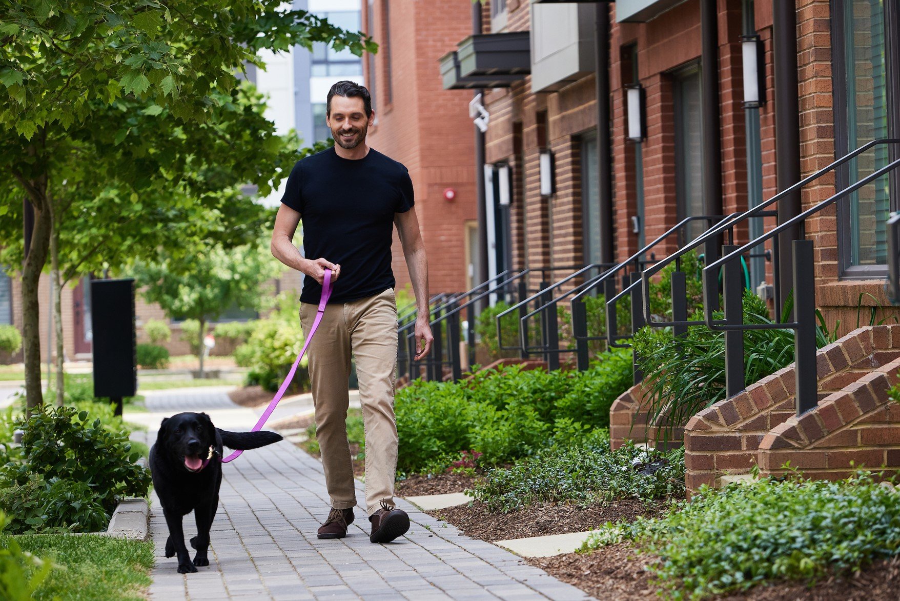 stella walking